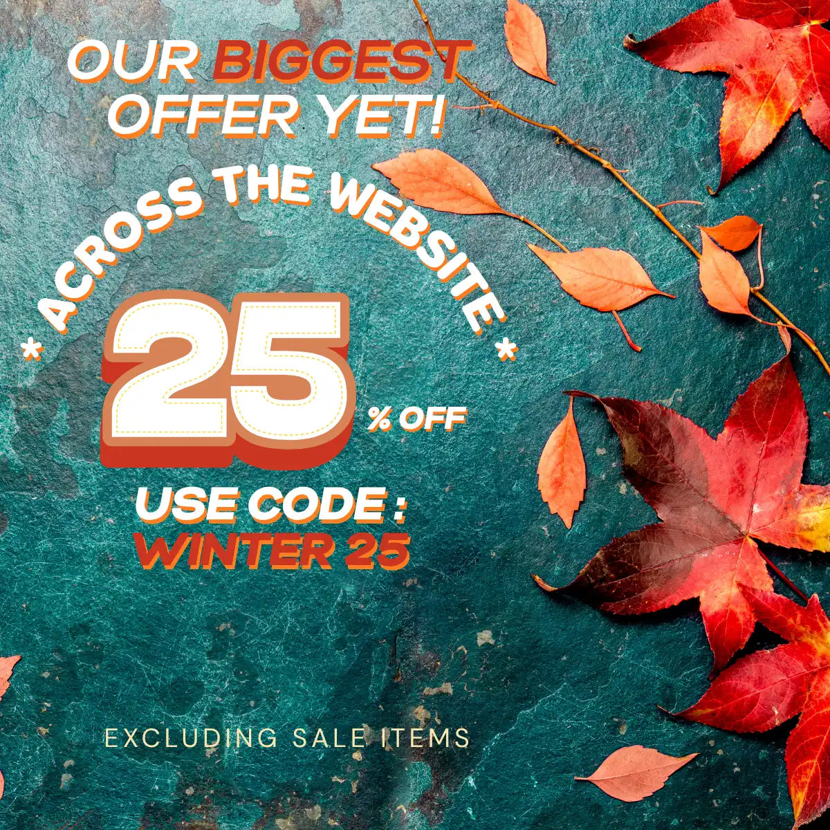 A promotional banner for a 25% discount.