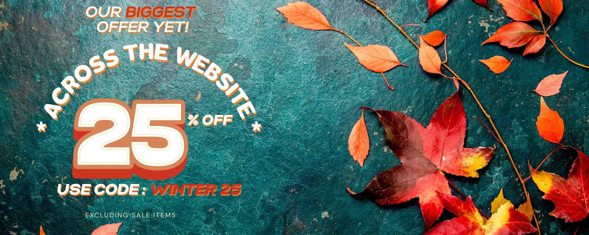 A promotional banner for a 25% off website-wide sale.